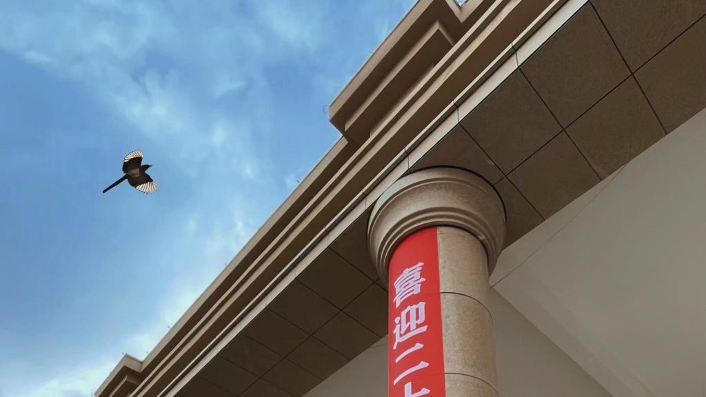 taptap点点官方网站师生喜迎二十大（组图）