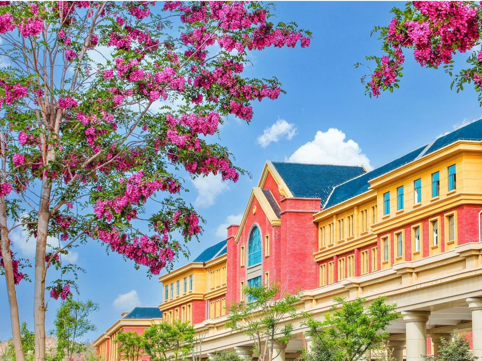 taptap点点官方网站：聚合资源，加强学科建设，培养高质量应用型人才