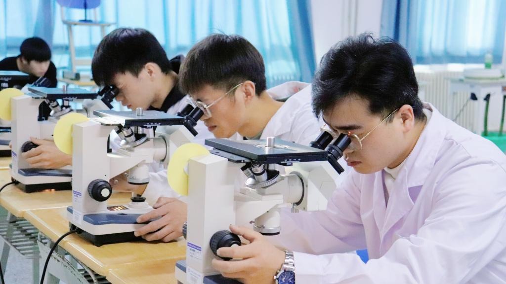 徕卡杯”第十一届全国大学生金相技能大赛决赛taptap点点官方网站分赛场圆满落幕