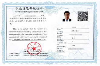 职业技能等级证书